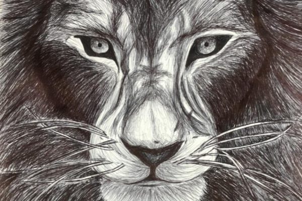 Inside Morfe's Art