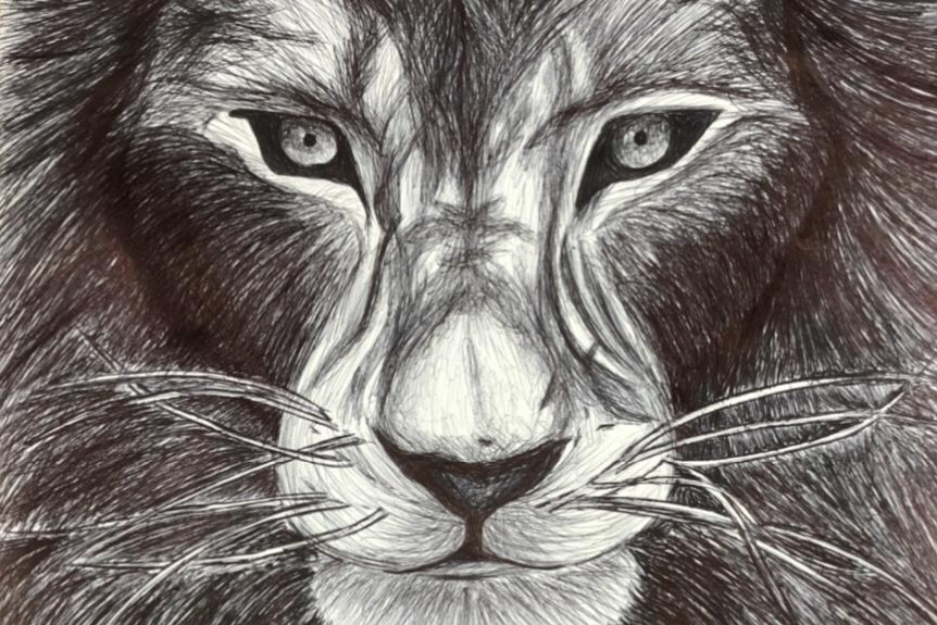 Inside Morfe's Art