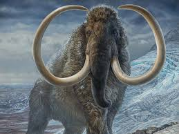 Which Extinct Animal Will Be Revived Next?